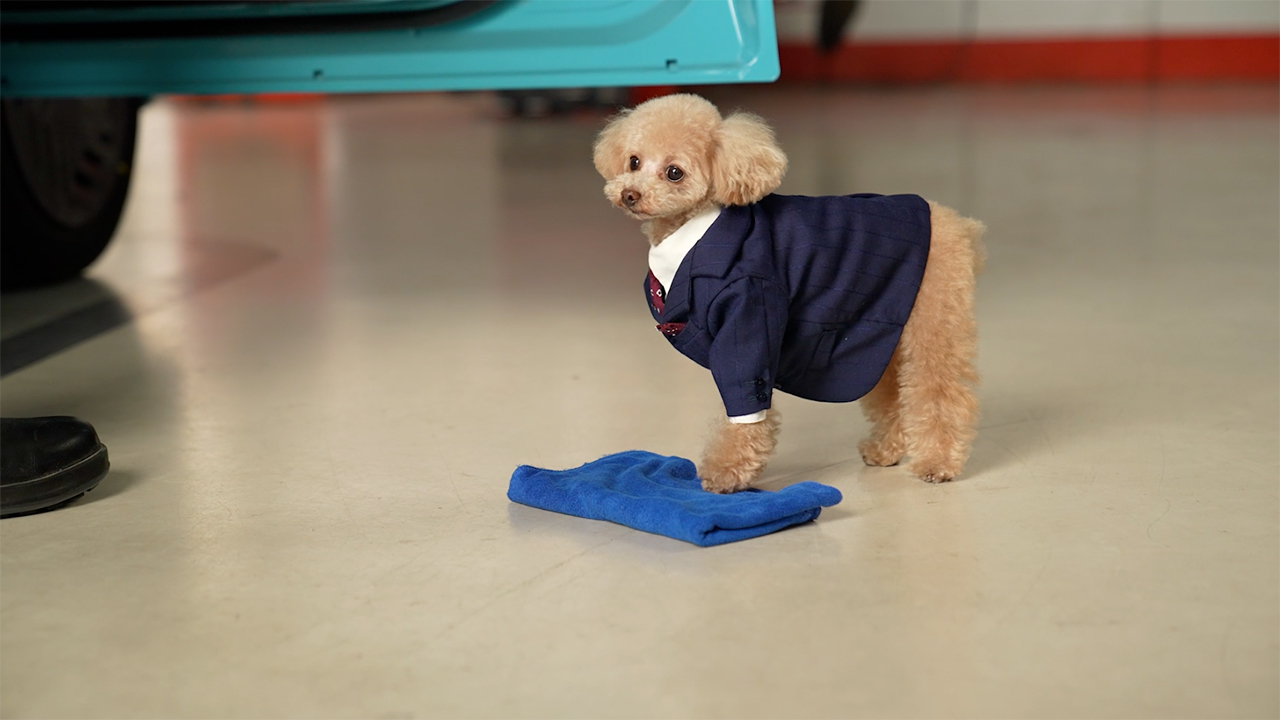 ワンちゃん店長推しver.