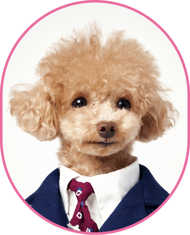 ワンちゃん店長