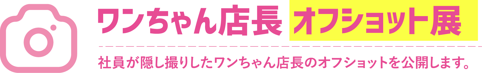 ワンちゃん店長 オフショット展 社員が隠し撮りしたワンちゃん店長のオフショットを公開します。